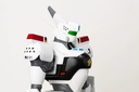 Item_8620