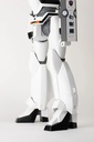 Item_8621