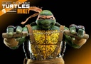 20160602TMNT-LNMSets-600-A-2-on