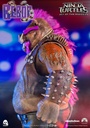20160722-TMNT-Bebop-1411-7