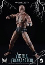 Victor-Frankenstein-p03
