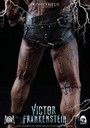 Victor-Frankenstein-p05
