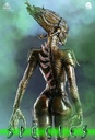 Species