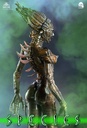 Species