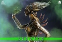 Species