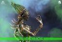 Species