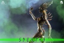 Species