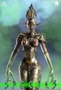 Species