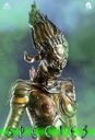 Species
