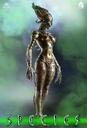 Species