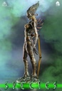 Species_6306-1