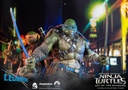 Shadows-Michelangelo-and-Leonardo-p01