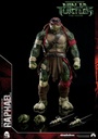 TMNT-Raphael-and-Donatello-P02