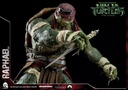 TMNT-Raphael-and-Donatello-P06