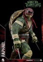 TMNT-Raphael-and-Donatello-P08