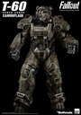 T60-PO-6-1