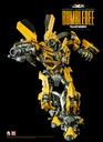 TF5