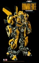 TF5