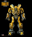 TF5