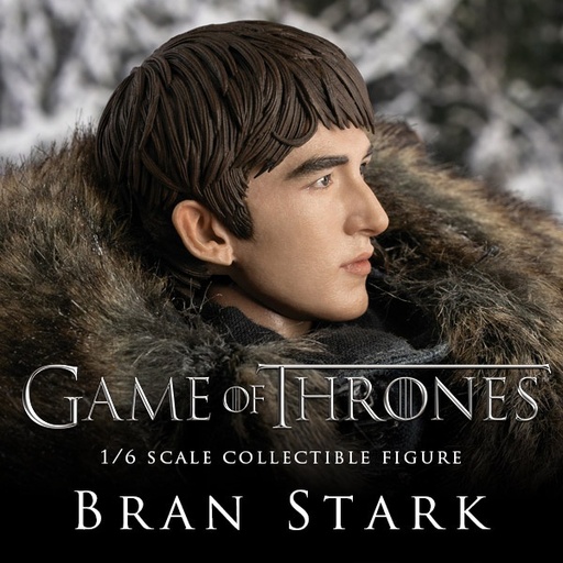 [1517] Game of Thrones 1/6 Bran Stark (Standard edition)