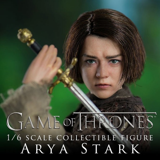 [1508] Game of Thrones 1/6 Arya Stark