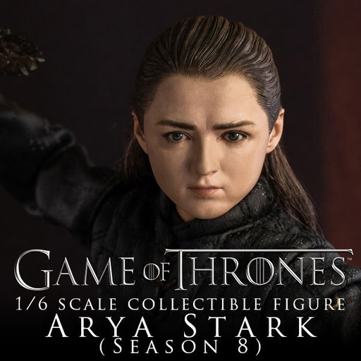 [1260] Game of Thrones  1/6 Arya Stark (Season 8)