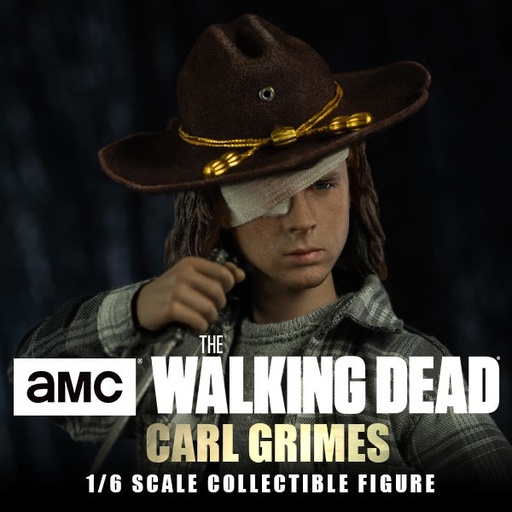[1096] The Walking Dead  Carl Grimes (Standard version)