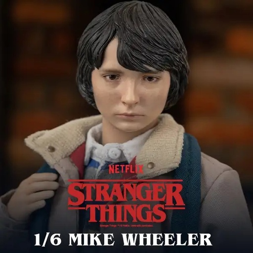 [619] Stranger Things 1/6 Mike Wheeler